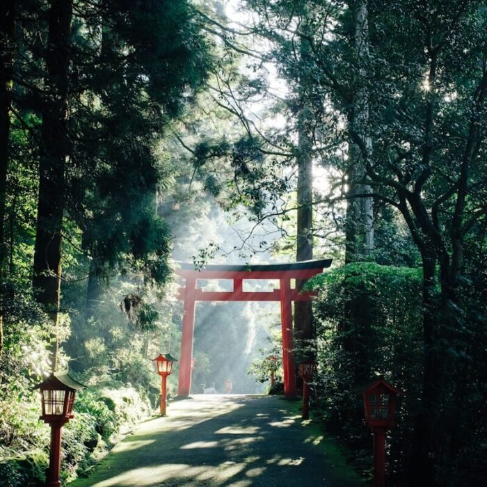 red wooden cross on gray concrete pathway between green trees during daytime